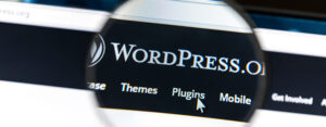 The Complete WordPress SEO Plugin Mastery